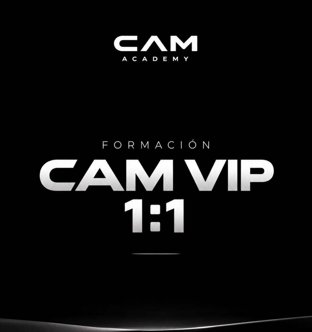 CAM VIP 1:1 — Formación Personalizada de E-commerce con IA